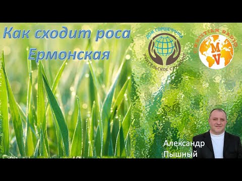 Видео: Как сходит роса Ермонская. Александр Пышный.