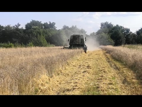 Видео: Молотим пшеницю 2021. Комбайн Фортшріт Е 524 ( Fortschritt E524)