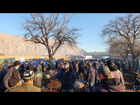 Видео: МОЛБОЗОР МИРЗО Деҳаи Сурх Исфара🇹🇯