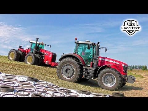 Видео: Закладка кормов в хозяйстве: РСМ 2400, Massey 8737S, JCB 434S! Девушка работает на тракторе!