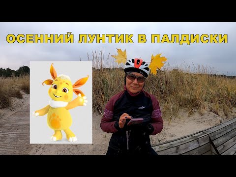Видео: Осенняя велопокатушка Кейла-Йоа, Клоогаранд, Палдиски