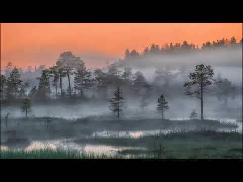 Видео: Цезарь Кюи. Сокрытая красота. Стихи Ф. Сологуба. César Cui. Secret Beauty