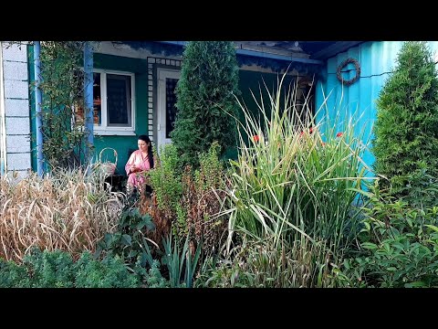 Видео: ОСІННІЙ РАНОК В ЗАТИШНОМУ ДВОРІ. МОТИВАЦІЯ НА ПРИБИРАННЯ. ШАРЛОТКА. ЗАГОТОВКИ НА ЗИМУ.