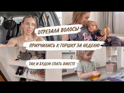 Видео: ПРИУЧИЛИСЬ К ГОРШКУ ЗА НЕДЕЛЮ😳НАШ ОПЫТ | ОТРЕЗАЛА ВОЛОСЫ😍ПРИСТУПЫ ЛЮБВИ🙃ДОМАШНИЙ ВЛОГ