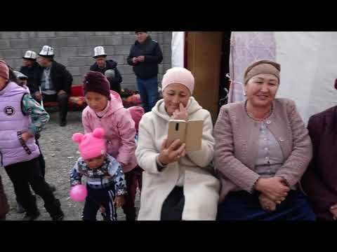 Видео: Даян Уул той уй той!