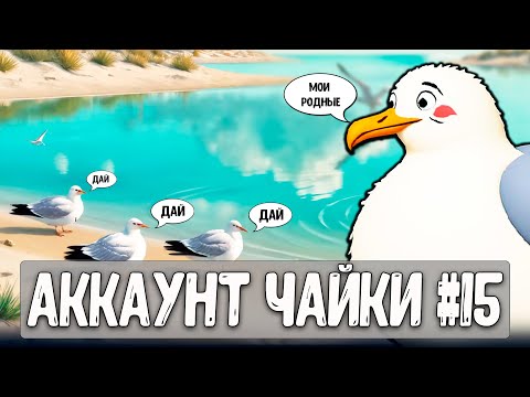 Видео: Чайка нашёл рай для чаек #рр4