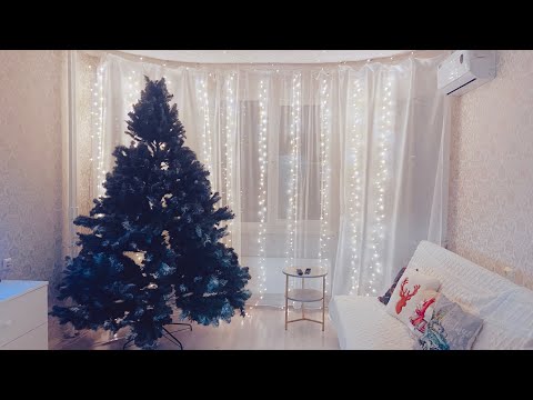 Видео: Уже поставили ёлку дома🫶