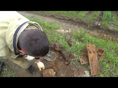 Видео: Металлокоп,,,,Трое суток  копаю металл,,,на старом поселке,,,,, Майло пытается поймать Зайца)))