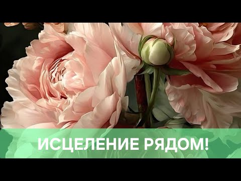 Видео: ИСЦЕЛЕНИЕ РЯДОМ.🥰🥰🥰🥰