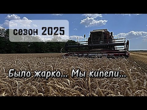 Видео: Молотим в + 40. Поднимаем полёгшую пшеницу на ПАЛЕССЕ GS12