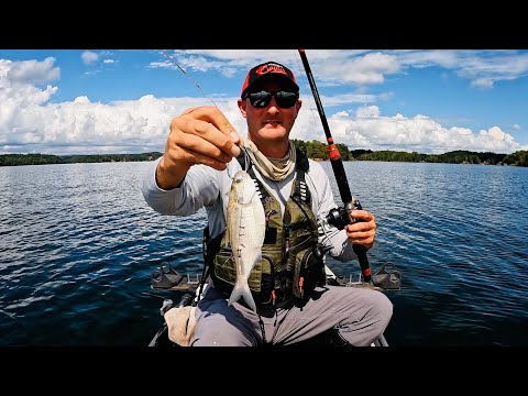 Видео: ПЛОСКОГОЛОВАЯ ЗОНА!!! Желудочный амур сожран