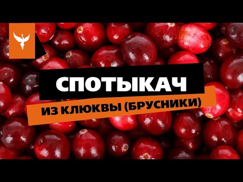 Видео: рДЖ 66: Спотыкач из клюквы (брусники). Вкусно, в меру сладко, пьяно и весело. С небольшой кислинкой