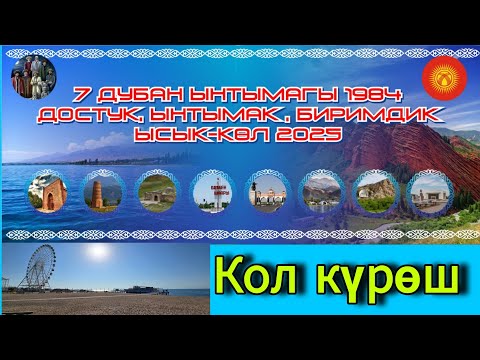 Видео: Кол курош