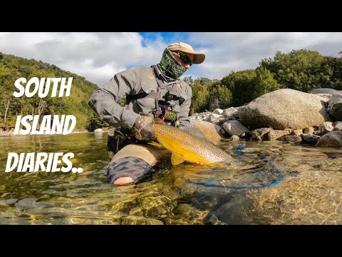 Видео: ЭТО САМАЯ БОЛЬШАЯ РЫБА ЭТОГО ЛЕТА...??