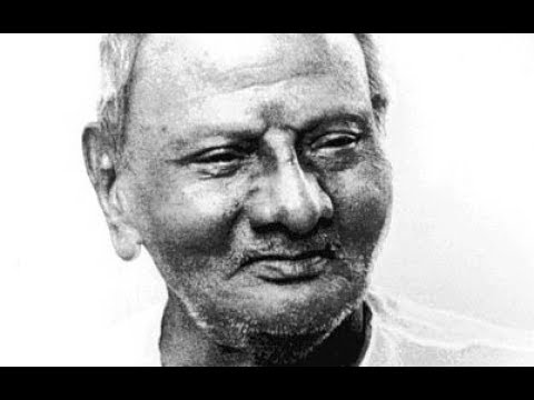 Видео: Возникновение Бытия [Н. Махарадж, Nik Osho]