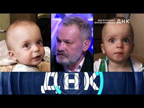 Видео: ДНК . Выпуск от 11.09.2025 - «Дед не признает внуков близнецов  !» - ДНК 2025