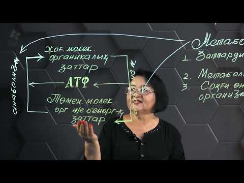 Видео: Метаболизм түрлері. 10 сынып.