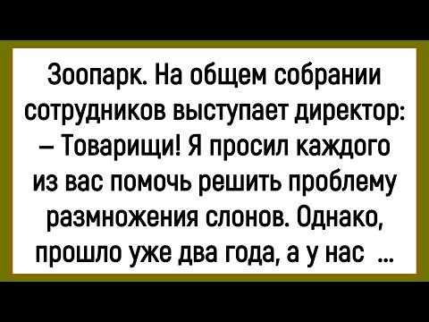 Видео: 🔥Как Директор Зоопарка Собрание Проводил! Сборник Смешных Анекдотов! Юмор! Позитив!