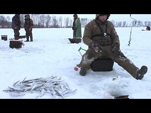 Видео: Вот это я понимаю клёв! ЛОВЛЯ ЧЕХОНИ СО ЛЬДА ! Рыбалка на Оке 2022!