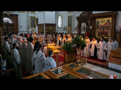 Видео: Панихида по схиархиеп. Алипию и слово митр. Арсения 2.11.22 г.