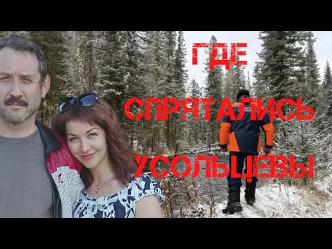 Видео: Где спрятались Усольцевы. Обсуждение