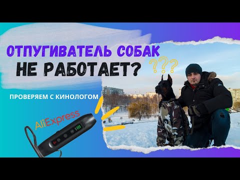 Видео: Отпугиватель собак с Aliexpress: обзор. Можно брать? Как вести себя с собаками — говорим с кинологом
