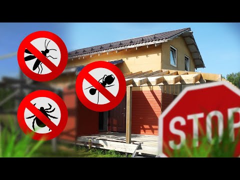 Видео: Обработка участка от клещей и комаров. Работает или нет?