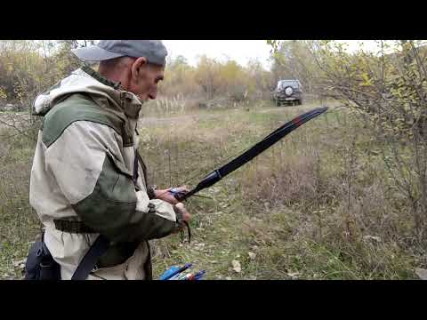 Видео: Летят стрелы. Джансинг ф179 , 50#луковые_истории 