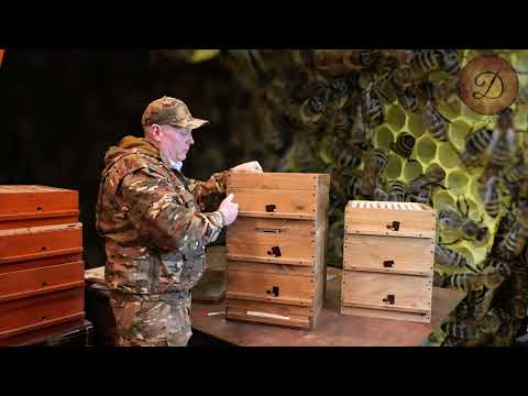 Видео: БОЛЬШОЙ МЁД И ДВА ПАКЕТА