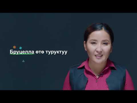 Видео: 6-7-класс | Сергек жашоо образы | Эмне үчүн оорулардын булагы- колдогу микробдор?
