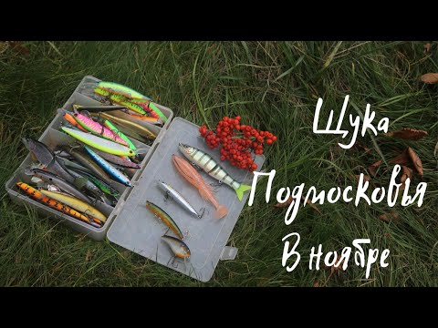 Видео: Ловля щуки в Подмосковье в ноябре. Свимбейты, кренки, минноу, резина.