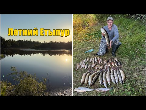 Видео: Летний Етыпур: щука, язь, окунь и приключения у березы. Рыбалка 2025.
