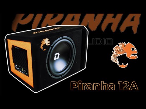 Видео: Лучший активный Сабвуфер 2023 года, DL Audio Piranha 12A BLACK