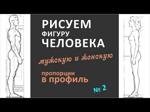 Видео: Как нарисовать фигуру человека в профиль (боком)