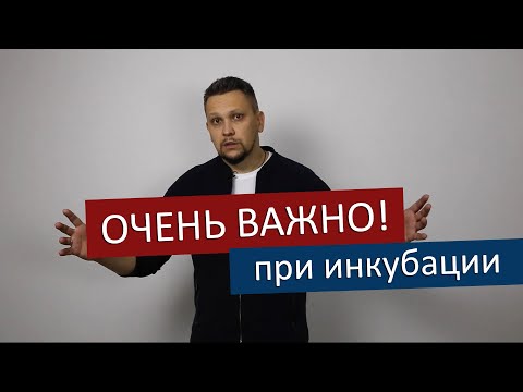 Видео: Температура и влажность в помещении при инкубации / Требования к инкубаторию