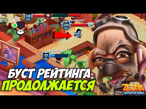 Видео: 🤯НАРВАЛСЯ не НА ТЕХ!!! БУСТ РЕЙТИНГА НА РУБИ ИЗ ПУСТОШИ ДО 1500 РЕЙТИНГА ПРОДОЛЖАЕТСЯ В ИГРЕ Zooba.