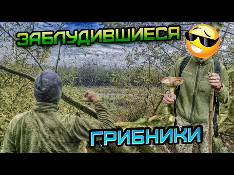 Видео: #139 ПЕРЕШЛИ, А ДЕНЕГ НЕТУ! КАК ВЫКРУТИЛИСЬ СЛУШАЙТЕ ИСТОРИЮ.