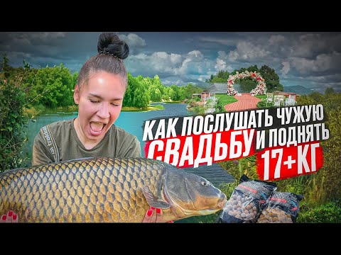 Видео: Как послушать чужую свадьбу и поймать 17+