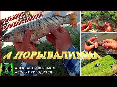 Видео: А порыбалимка. Рыбалка трижды удивила.