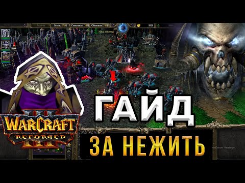 Видео: Гайд За НЕЖИТЬ для НОВИЧКОВ - WarCraft 3:Reforged - Как играть за АНДЕДОВ в ВАРКРАФТ 3