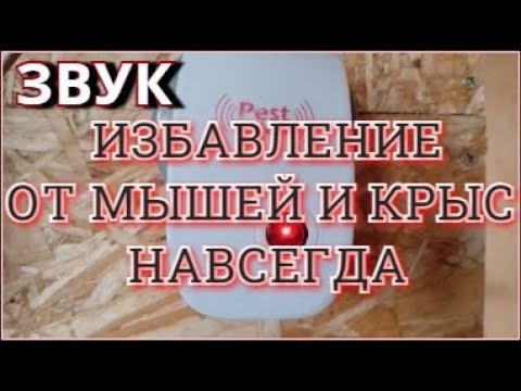 Видео: Ультразвук от мышей и крыс Полное избавление от мышей и крыс навсегда! Включать на 2-3 часа