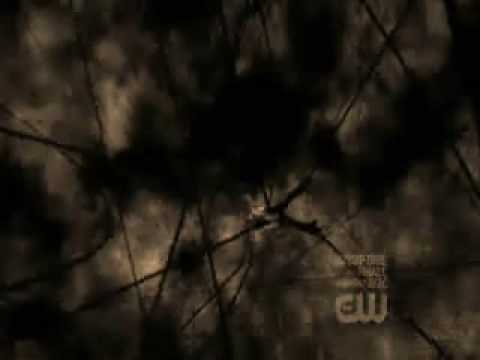 Видео: Дай мне сил...