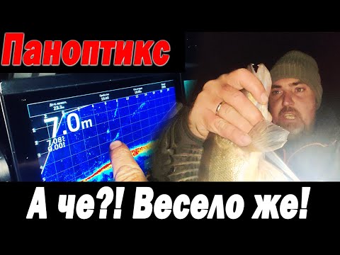 Видео: А че? Ну весело же. Паноптикс - первый опыт.