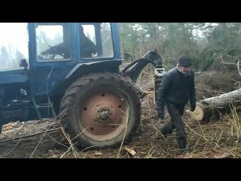 Видео: Валка леса, трелёвка леса. Трелюем лес,,,, поломался трактор 🚜,,, telling the forest,,, Walz week...