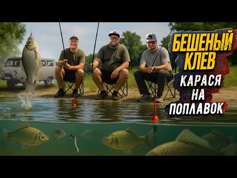 Видео: БЕШЕНЫЙ КЛËВ КАРАСЯ НА ПОПЛАВОК