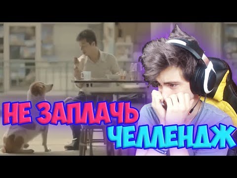 Видео: ПОПРОБУЙ НЕ ЗАПЛАКАТЬ ЧЕЛЛЕНДЖ | САМОЕ ГРУСТНОЕ ВИДЕО |НЕ ЗАПЛАЧЬ ЧЕЛЛЕНДЖ |TRY NOT TO CRY CHALLENGE
