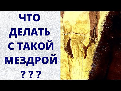 Видео: Плохая мездра Кожевая ткань рвётся Ремонт шубы из меха норки  Туториал Полезные идеи для рукоделия