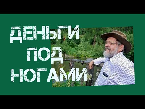 Видео: Зепп Хольцер как выкопать пруд на наклонном участке (4/6)