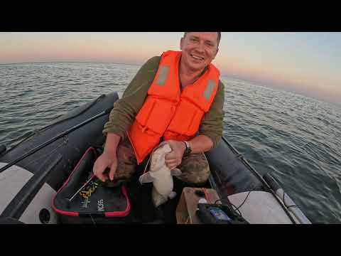 Видео: Ловля сома на квок, первый опыт!!! Рыбалка на Волгоградском водохранилище!!!