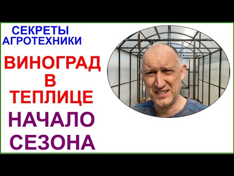 Видео: Начало сезона. Убираю зимнее укрытие винограда в теплицах